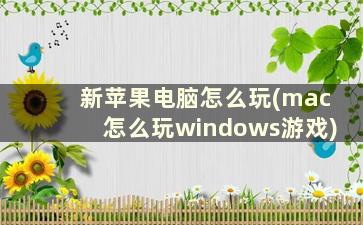 新苹果电脑怎么玩(mac怎么玩windows游戏)