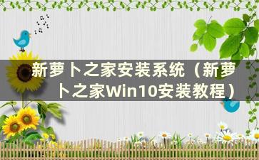 新萝卜之家安装系统（新萝卜之家Win10安装教程）