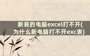 新装的电脑excel打不开(为什么新电脑打不开exc表)