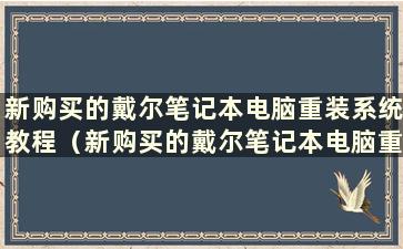 新购买的戴尔笔记本电脑重装系统教程（新购买的戴尔笔记本电脑重装系统）