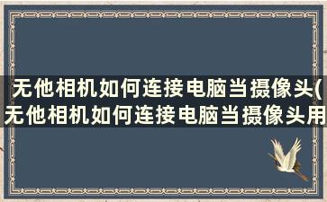 无他相机如何连接电脑当摄像头(无他相机如何连接电脑当摄像头用)