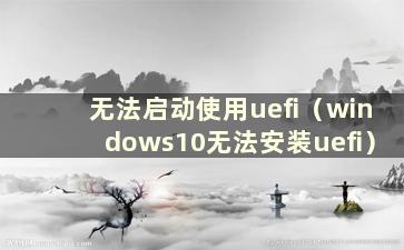 无法启动使用uefi（windows10无法安装uefi）