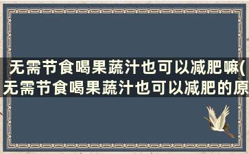 无需节食喝果蔬汁也可以减肥嘛(无需节食喝果蔬汁也可以减肥的原因)