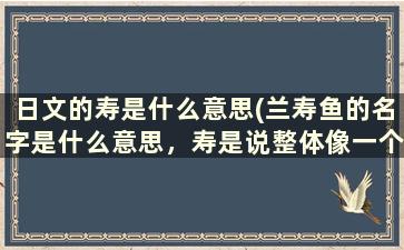 日文的寿是什么意思(兰寿鱼的名字是什么意思，寿是说整体像一个寿字，兰是什么意思)