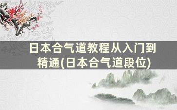 日本合气道教程从入门到精通(日本合气道段位)