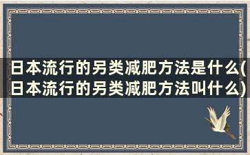 日本流行的另类减肥方法是什么(日本流行的另类减肥方法叫什么)