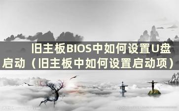 旧主板BIOS中如何设置U盘启动（旧主板中如何设置启动项）