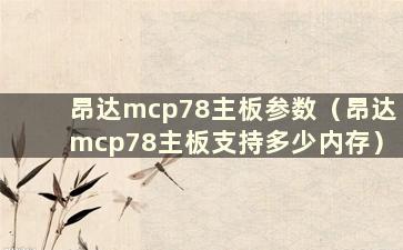 昂达mcp78主板参数（昂达mcp78主板支持多少内存）