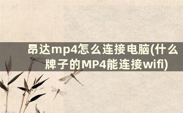 昂达mp4怎么连接电脑(什么牌子的MP4能连接wifi)