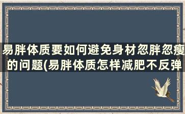 易胖体质要如何避免身材忽胖忽瘦的问题(易胖体质怎样减肥不反弹)