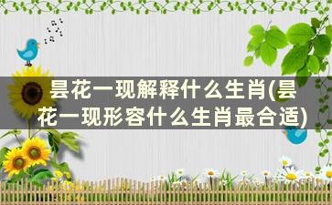 昙花一现解释什么生肖(昙花一现形容什么生肖最合适)