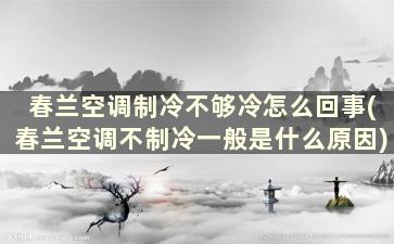 春兰空调制冷不够冷怎么回事(春兰空调不制冷一般是什么原因)