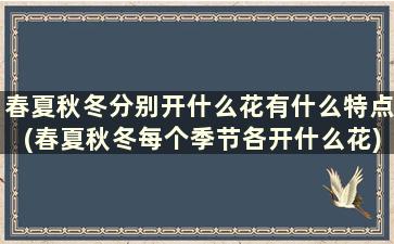 春夏秋冬分别开什么花有什么特点(春夏秋冬每个季节各开什么花)