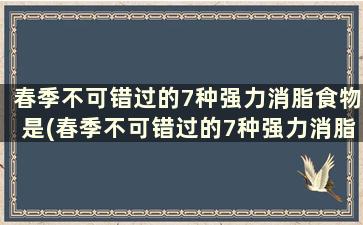 春季不可错过的7种强力消脂食物是(春季不可错过的7种强力消脂食物是什么)