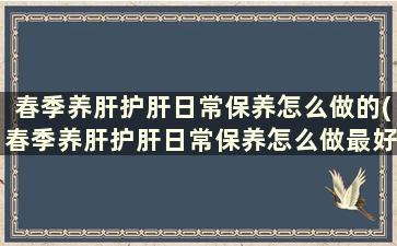 春季养肝护肝日常保养怎么做的(春季养肝护肝日常保养怎么做最好)