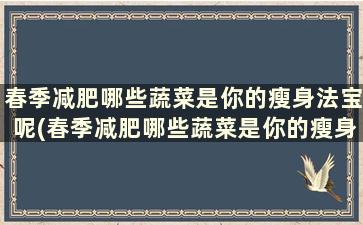 春季减肥哪些蔬菜是你的瘦身法宝呢(春季减肥哪些蔬菜是你的瘦身法宝呢英文)