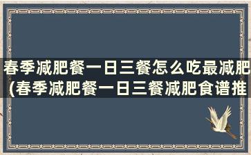 春季减肥餐一日三餐怎么吃最减肥(春季减肥餐一日三餐减肥食谱推荐)