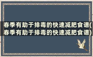 春季有助于排毒的快速减肥食谱(春季有助于排毒的快速减肥食谱)