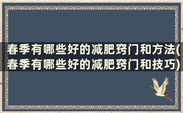 春季有哪些好的减肥窍门和方法(春季有哪些好的减肥窍门和技巧)