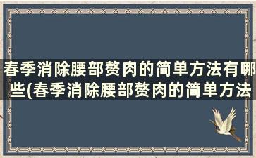 春季消除腰部赘肉的简单方法有哪些(春季消除腰部赘肉的简单方法)