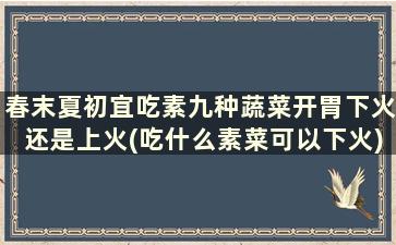 春末夏初宜吃素九种蔬菜开胃下火还是上火(吃什么素菜可以下火)