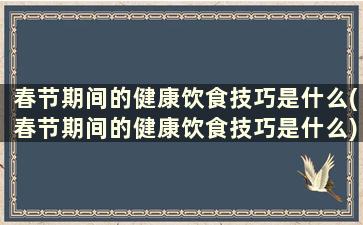 春节期间的健康饮食技巧是什么(春节期间的健康饮食技巧是什么)