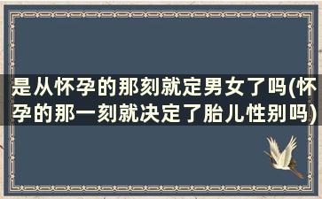 是从怀孕的那刻就定男女了吗(怀孕的那一刻就决定了胎儿性别吗)