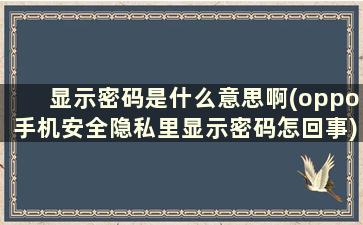 显示密码是什么意思啊(oppo手机安全隐私里显示密码怎回事)