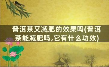 普洱茶又减肥的效果吗(普洱茶能减肥吗,它有什么功效)