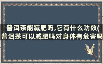 普洱茶能减肥吗,它有什么功效(普洱茶可以减肥吗对身体有危害吗)