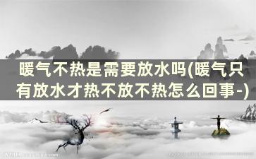 暖气不热是需要放水吗(暖气只有放水才热不放不热怎么回事-)