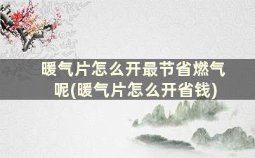 暖气片怎么开最节省燃气呢(暖气片怎么开省钱)