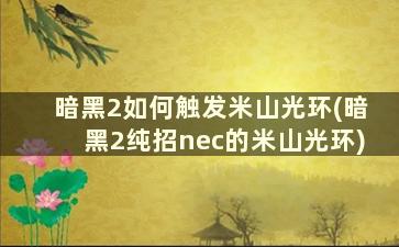 暗黑2如何触发米山光环(暗黑2纯招nec的米山光环)