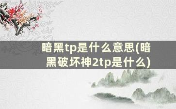 暗黑tp是什么意思(暗黑破坏神2tp是什么)