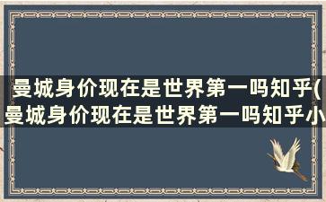 曼城身价现在是世界第一吗知乎(曼城身价现在是世界第一吗知乎小说)