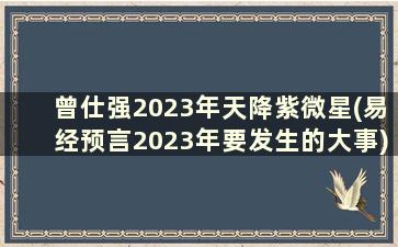 曾仕强2023年天降紫微星(易经预言2023年要发生的大事)