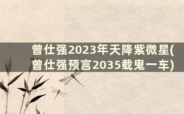 曾仕强2023年天降紫微星(曾仕强预言2035载鬼一车)