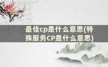 最佳cp是什么意思(特殊服务CP是什么意思)