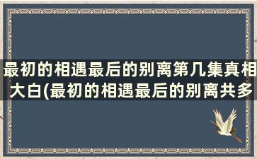 最初的相遇最后的别离第几集真相大白(最初的相遇最后的别离共多少集,分集剧情)