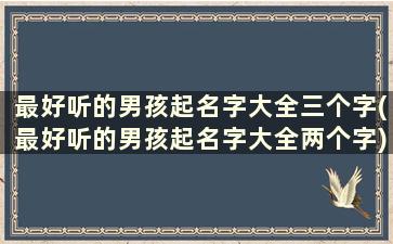 最好听的男孩起名字大全三个字(最好听的男孩起名字大全两个字)