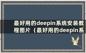 最好用的deepin系统安装教程图片（最好用的deepin系统安装教程软件）