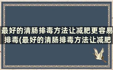 最好的清肠排毒方法让减肥更容易排毒(最好的清肠排毒方法让减肥更容易减肥吗)