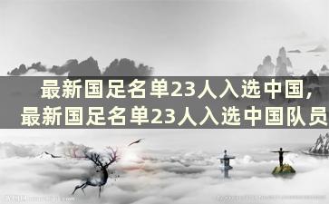 最新国足名单23人入选中国,最新国足名单23人入选中国队员