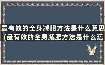 最有效的全身减肥方法是什么意思(最有效的全身减肥方法是什么运动)