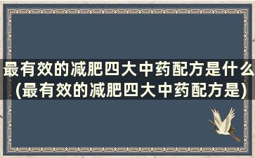 最有效的减肥四大中药配方是什么(最有效的减肥四大中药配方是)