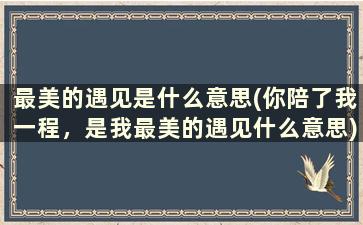 最美的遇见是什么意思(你陪了我一程，是我最美的遇见什么意思)