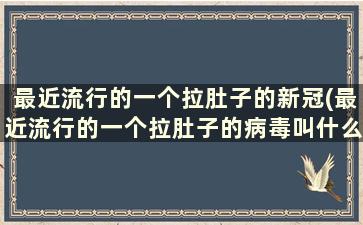 最近流行的一个拉肚子的新冠(最近流行的一个拉肚子的病毒叫什么名字)