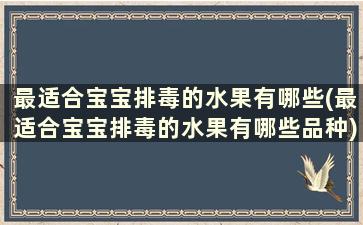 最适合宝宝排毒的水果有哪些(最适合宝宝排毒的水果有哪些品种)