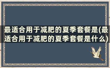 最适合用于减肥的夏季套餐是(最适合用于减肥的夏季套餐是什么)