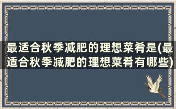 最适合秋季减肥的理想菜肴是(最适合秋季减肥的理想菜肴有哪些)